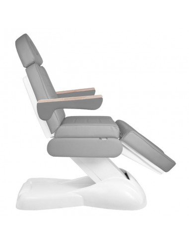 ELECTRIC COSMETIC CHAIR LUX 273B 3 MOTORS GRAY