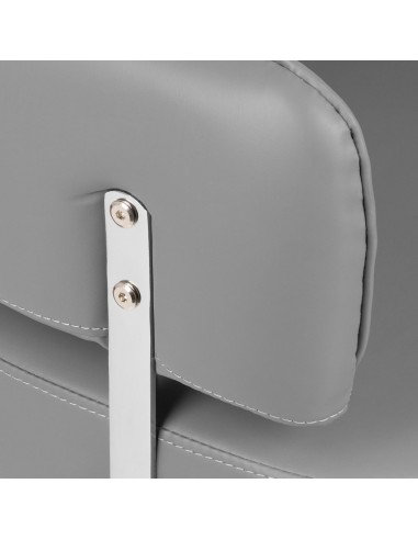 GABBIANO HAIRDRESSING LINZ SILVER GREY