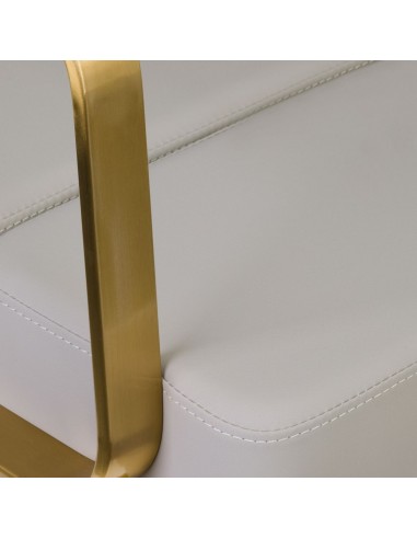 GABBIANO HAIRDRESSING CHAIR PORTO GOLD GRAY