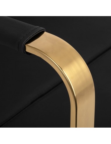 GABBIANO HAIRDRESSING CAR WASH PORTO GOLD BLACK