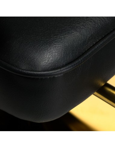 HAIR SYSTEM LINZ HAIRDRESSER CHAIR GOLD BLACK