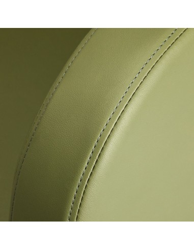 GABBIANO HAIRDRESSING CHAIR TURIN, BLACK AND GREEN