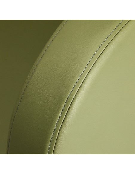 GABBIANO HAIRDRESSING CHAIR TURIN, BLACK AND GREEN