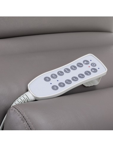 ELECTRIC BEAUTY BED AZZURRO 878 5 ENGINE GRAY