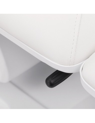ELECTRIC BEAUTY BED SILLON BASIC 3 MOTORS WHITE