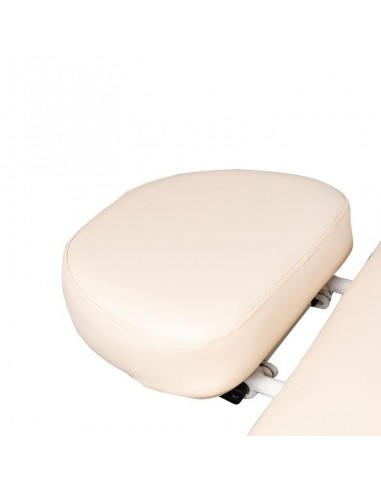 SPA BEAUTY LOUNGER AZZURRO 838A 4 MOTORS HEATED