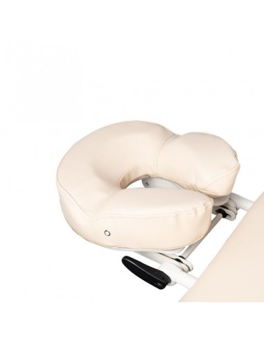 SPA BEAUTY LOUNGER AZZURRO 838A 4 MOTORS HEATED