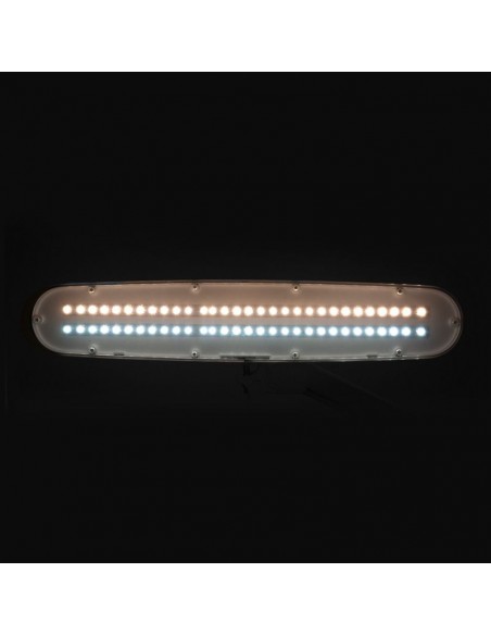 Elegant 801-tl led work lamp with a reg. white light intensity and color