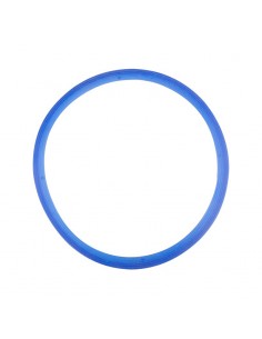 Lafomed silicone gasket for autoclaves 8l