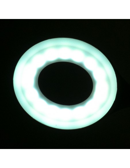 Ring led lamp snake on the desk white