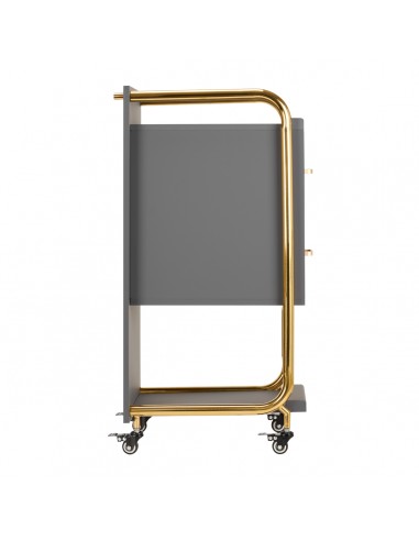 GABBIANO HAIRDRESSER TROLLEY SOLO GOLD GRAY