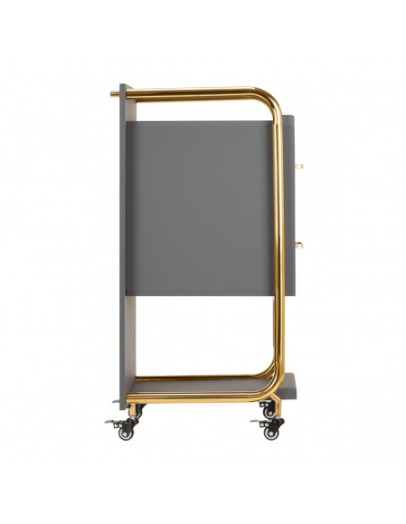 GABBIANO HAIRDRESSER TROLLEY SOLO GOLD GRAY