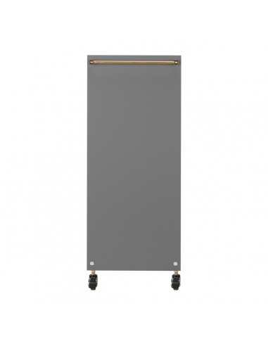GABBIANO HAIRDRESSER TROLLEY SOLO GOLD GRAY