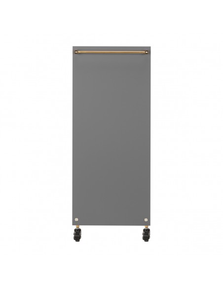 GABBIANO HAIRDRESSER TROLLEY SOLO GOLD GRAY