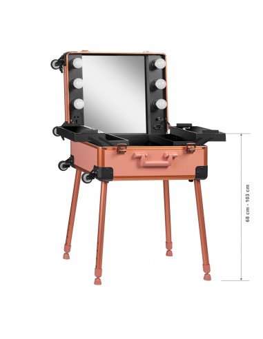 CASE PORTABLE STAND T-27 ROSE GOLD