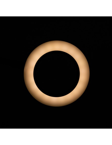 SNAKE RING LED LAMP LAMP ON A DESK BLACK