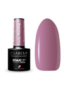 CLARESA Hybrid nail polish Frosty Morning 9 -5g