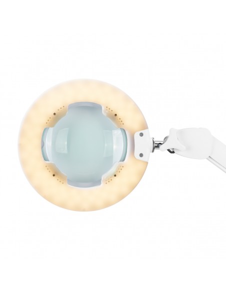 LED LUPA LED GLOW 8021 LAMP ADJUSTABLE COLOR OF LIGHT