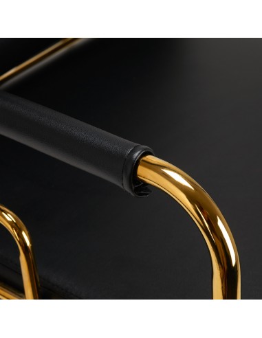GABBIANO HAIR WASH UNIT PRATO GOLD - BLACK