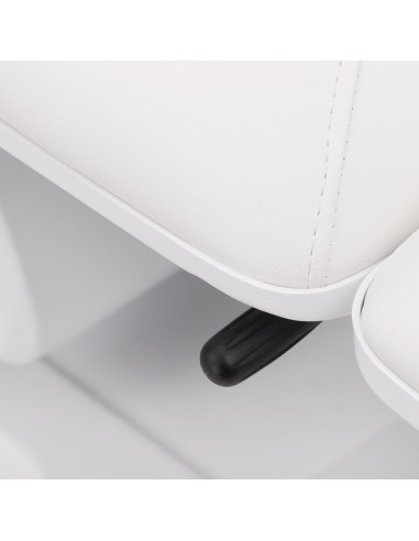 Sillon Basic electric cosmetic chair 3 motors white 