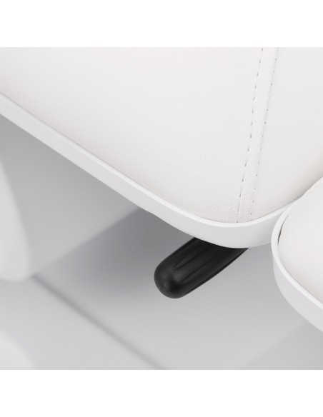 Sillon Basic electric cosmetic chair 3 motors white 
