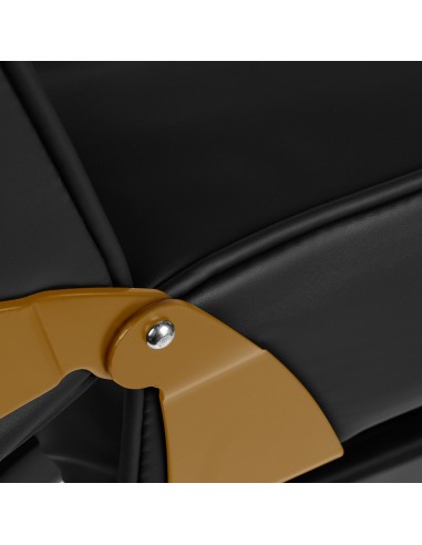 Cosmetic chair 557G with cuvettes black