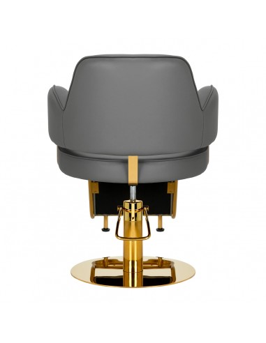 Hairdressing chair Gabbiano Linz NQ Gold Gray