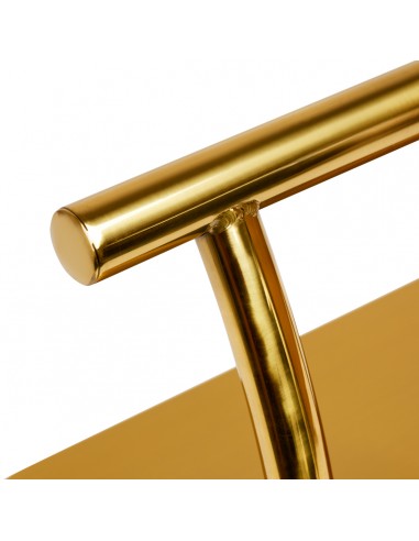 Hairdressing footstool L005S gold