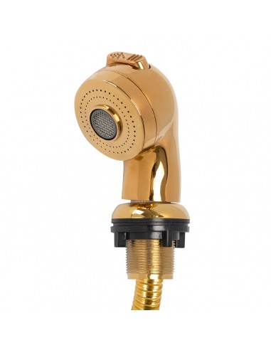 Hairdressing wash unit handset gold large