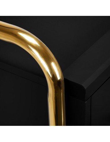 Gabbiano hairdressing assistant Solo gold – black