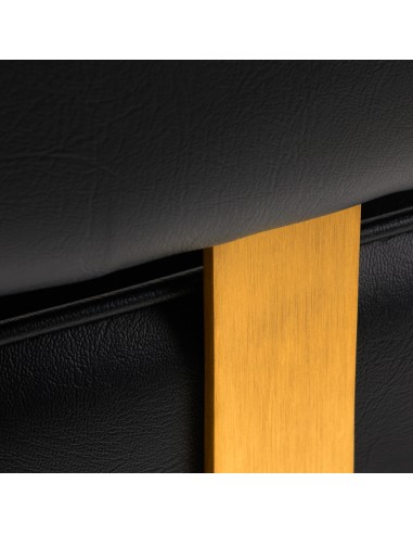 Hairdressing chair Gabbiano Linz NQ Gold Black