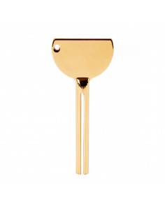 Paint squeezing key gold