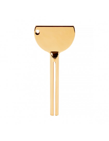 Paint squeezing key gold