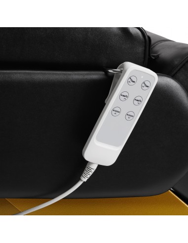 SILLON Lux 273b electric cosmetic chair 3 motors gold black