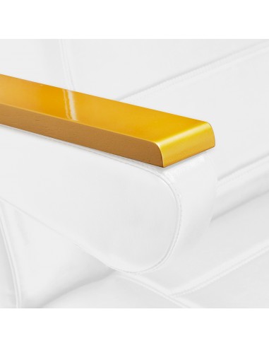 SILLON Lux 273b electric cosmetic chair 3 motors gold white