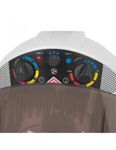 Gabbiano Centurion DVI-303W three-speed ionic wall-hung dryer white
