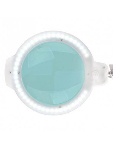 LED magnifying lamp moonlight 8013/6 "white for the table top