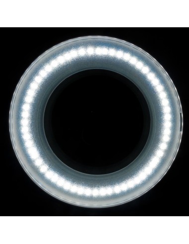 Elegante 6027 60 LED magnifier lamp 5d smd for table top
