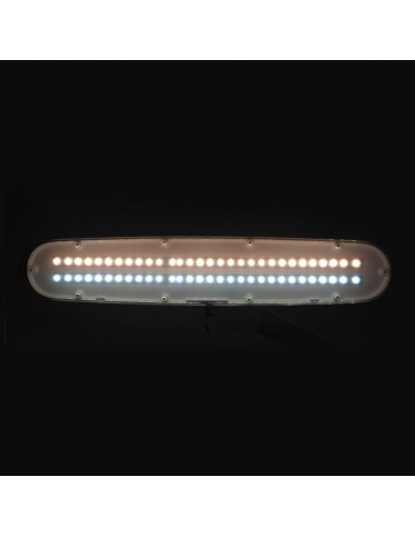 Elegant 801-tl led work lamp with a reg. white light intensity and color