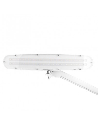Elegant 801-tl led work lamp with a reg. white light intensity and color