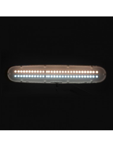 Elegant LED workshop lamp 801-tl with a reg. white light intensity and color