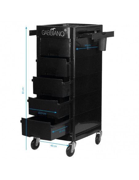 Gabbiano hairdressing assistant ft65-a black