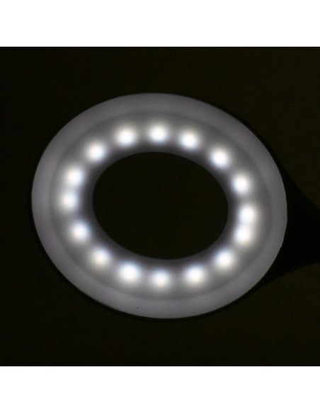 Ring led lamp snake on the desk white
