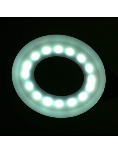 Ring led lamp snake on the desk white