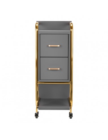 GABBIANO HAIRDRESSER TROLLEY SOLO GOLD GRAY