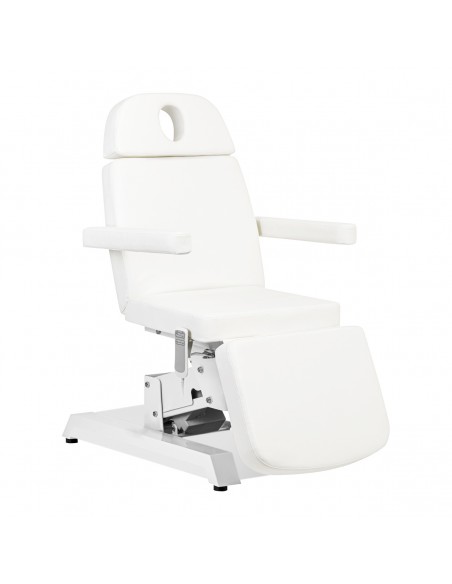 COSMETIC CHAIR EXPERT W-12D 2 MOTORS WHITE