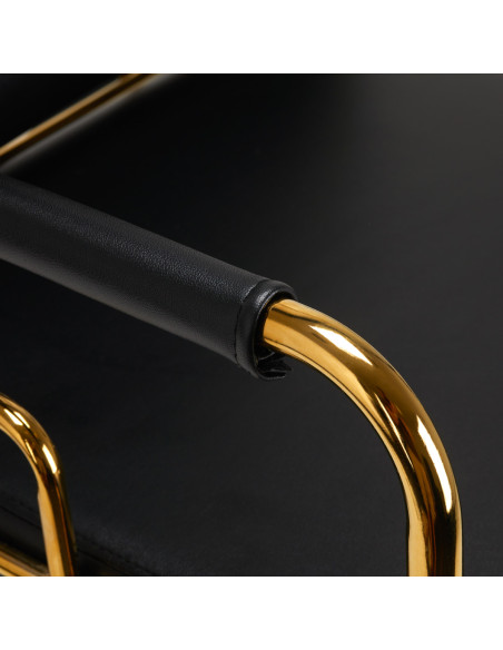 GABBIANO HAIR WASH UNIT PRATO GOLD - BLACK