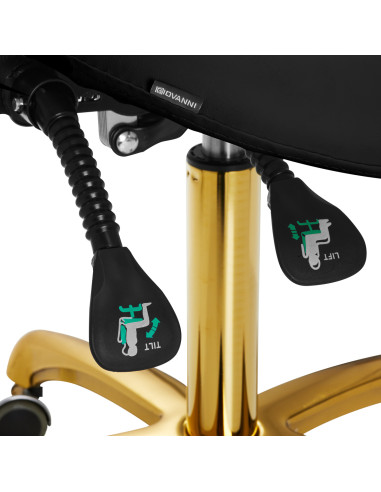 Giovanni cosmetic stool 1004 gold black