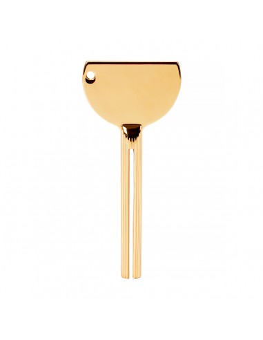 Paint squeezing key gold