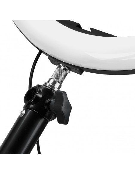Ring lamp hanger